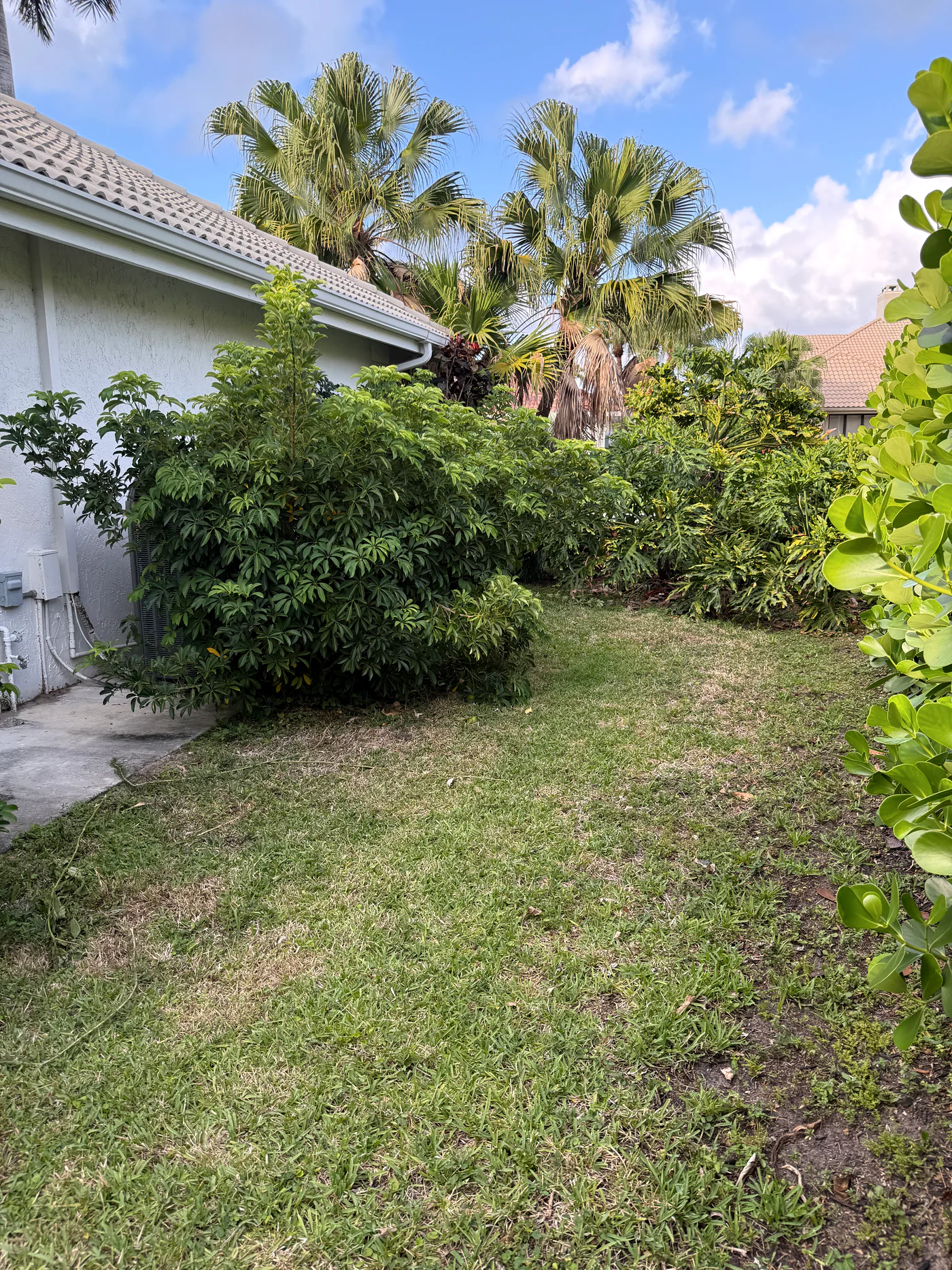 Restored property — Estate vegetation cleanup & exterior restoration, Palm Beach Gardens