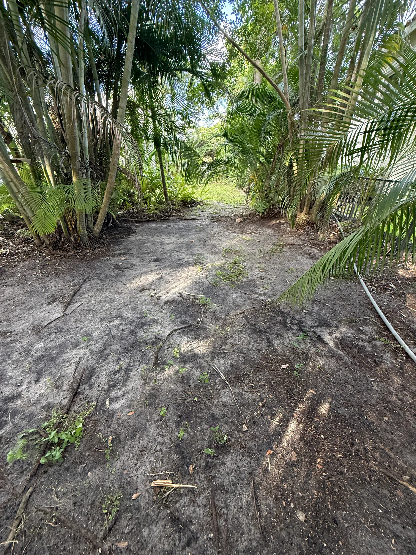 Estate vegetation cleanup & exterior restoration — Palm Beach Gardens