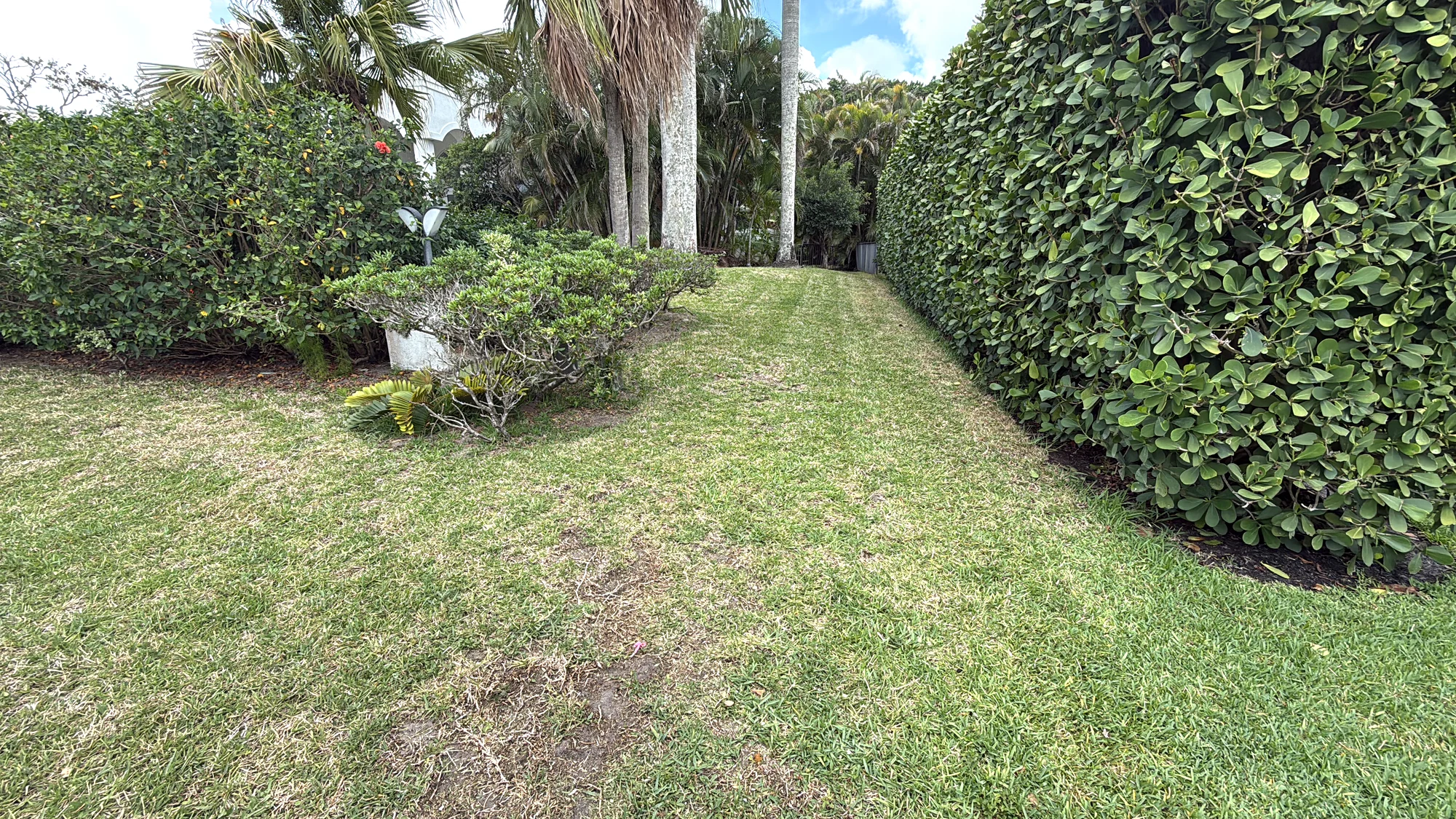 Restored estate — Estate vegetation cleanup & exterior restoration, Palm Beach Gardens
